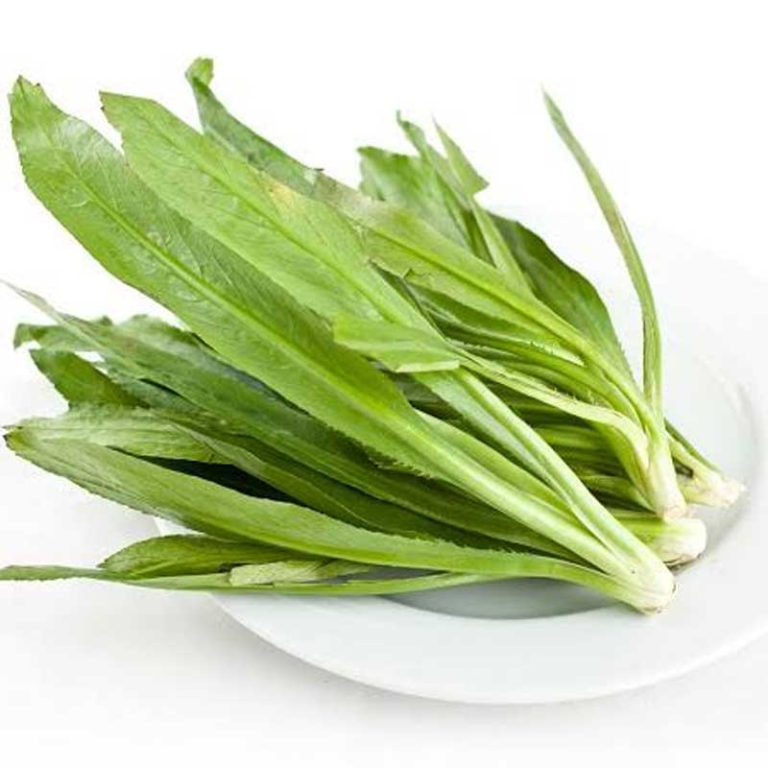 বিলাতি ধনিয়া পাতা