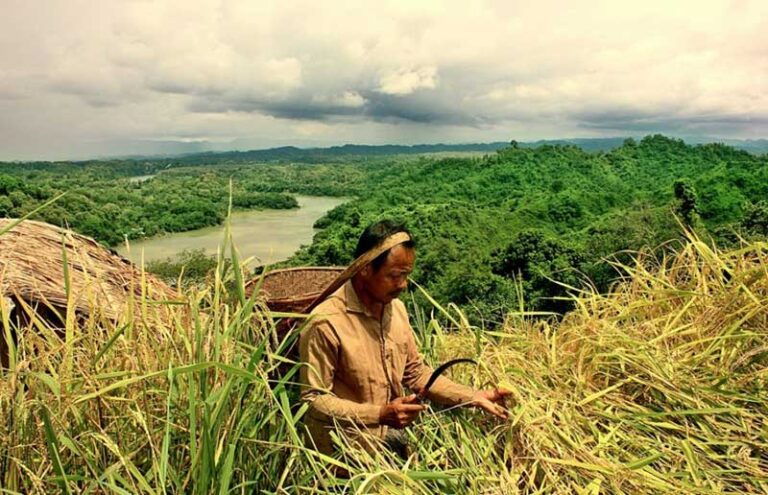 জুম চাষ পদ্ধতি