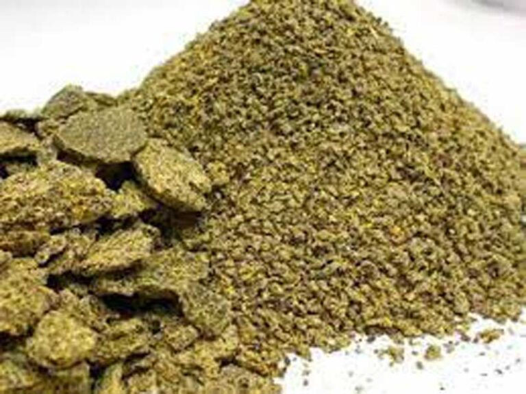 সরিষার খৈল তৈরি পদ্ধতি ও এর উপকারিতা